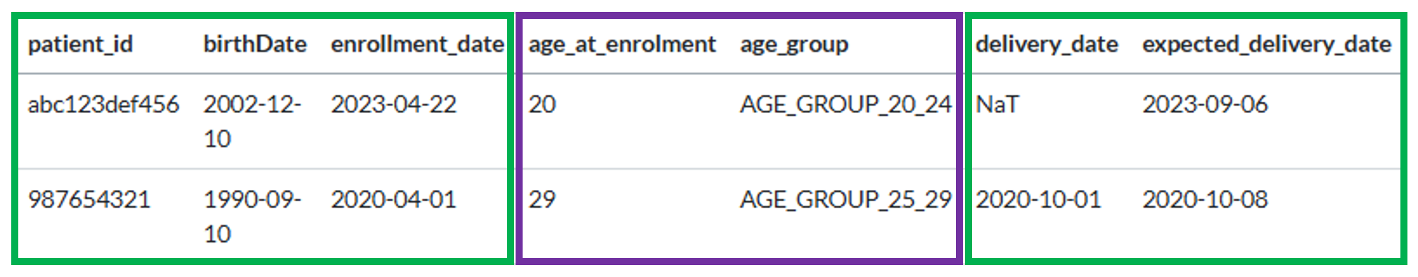 Figure 3: The Patient Information Table
